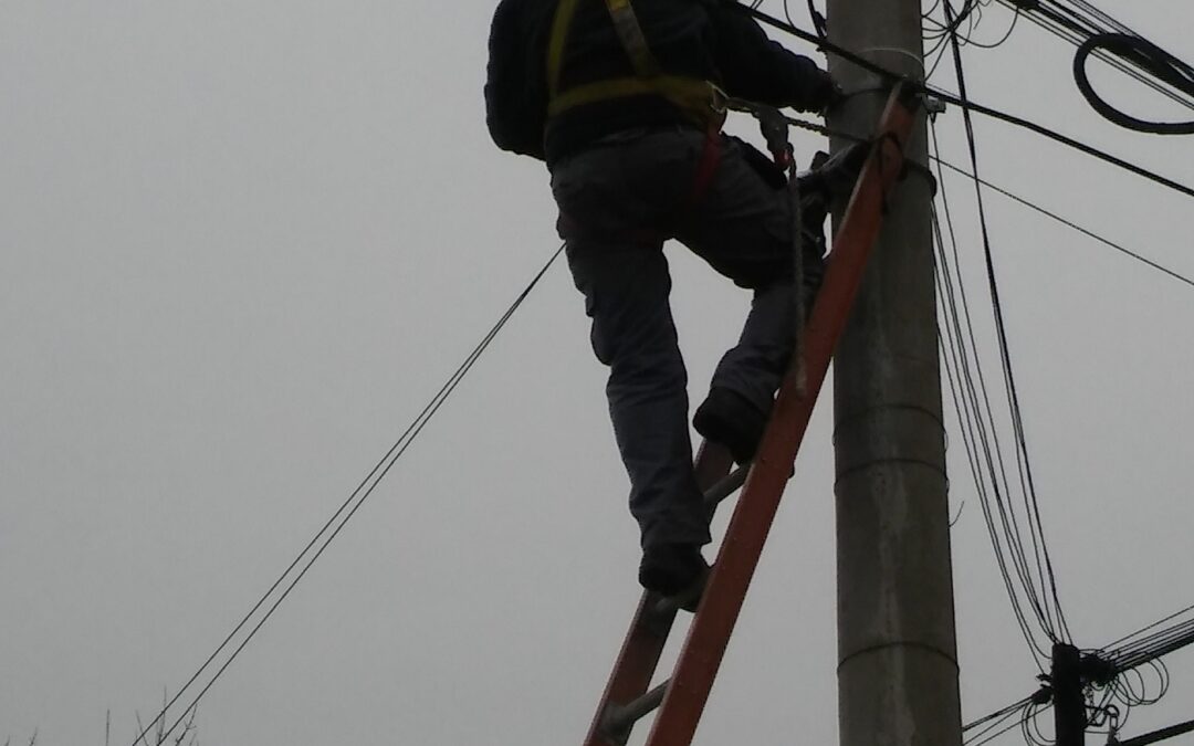 Charla sobre protecciones en redes eléctricas