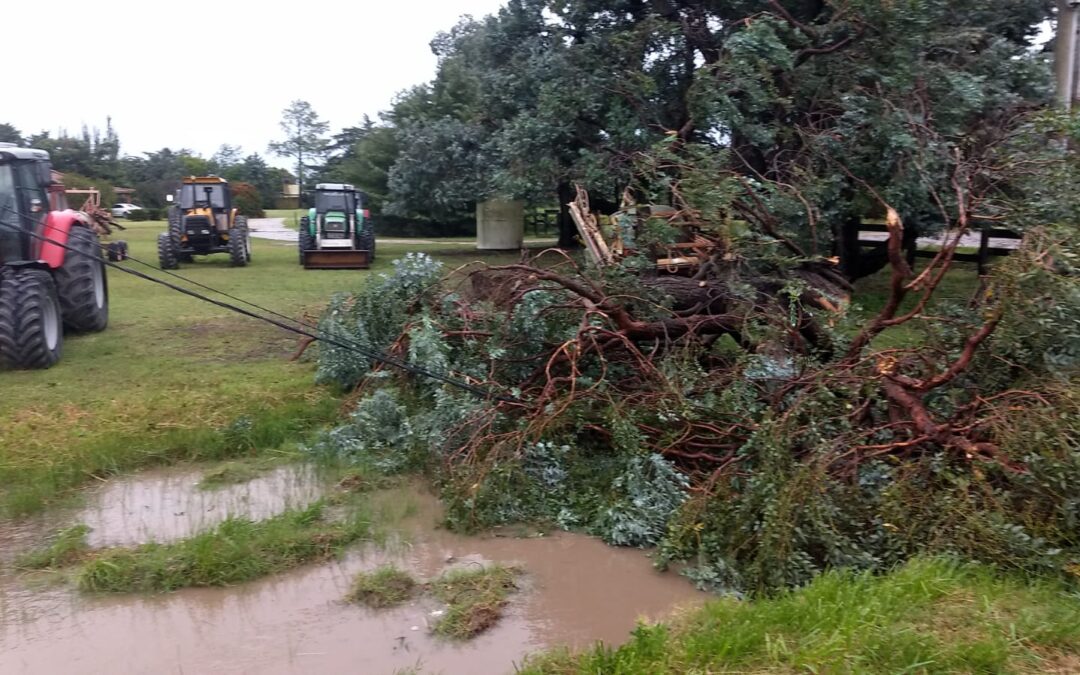 A las 19 horas, el parte de situación por la tormenta