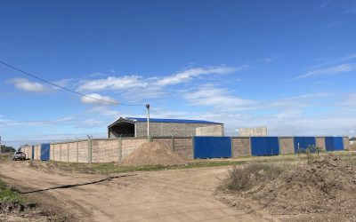 Toma forma la obra civil de la ET Sur